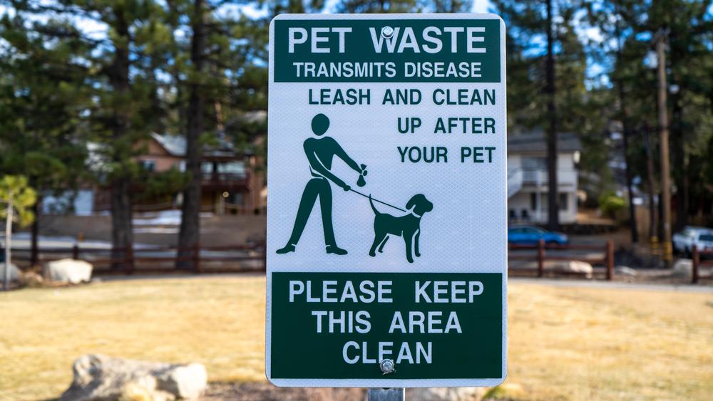 Leash Laws Jonathan Perkins Injury Lawyers