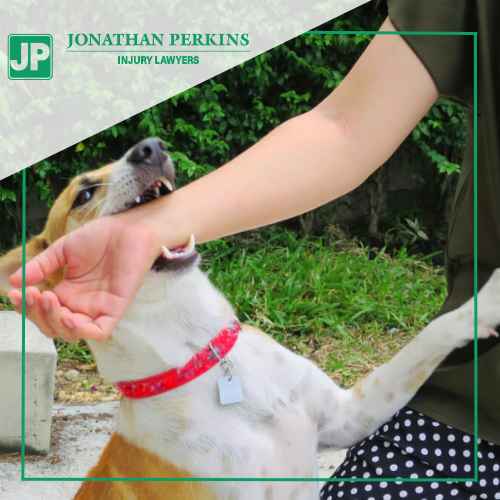 Understanding Dog Bite Laws and Liability – Jonathan Perkins Injury Lawyers